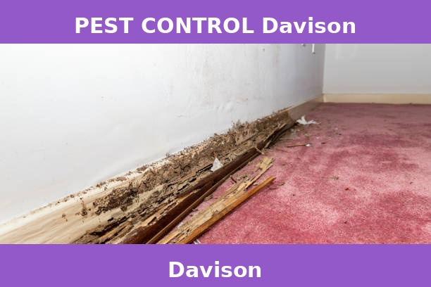 PEST CONTROL Davison